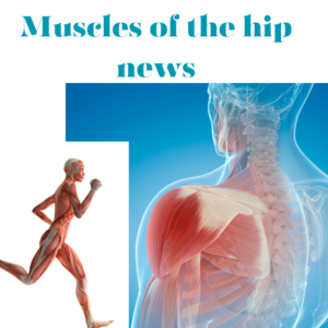 muscles of the hip news