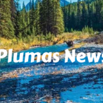 Plumas News: Unveiling Local Stories in a Digital Age