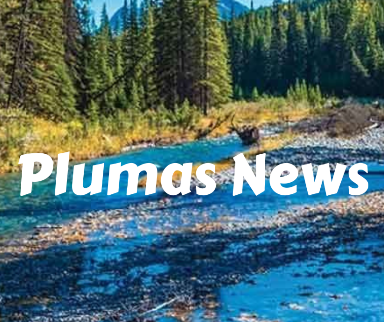 Plumas News: Unveiling Local Stories in a Digital Age